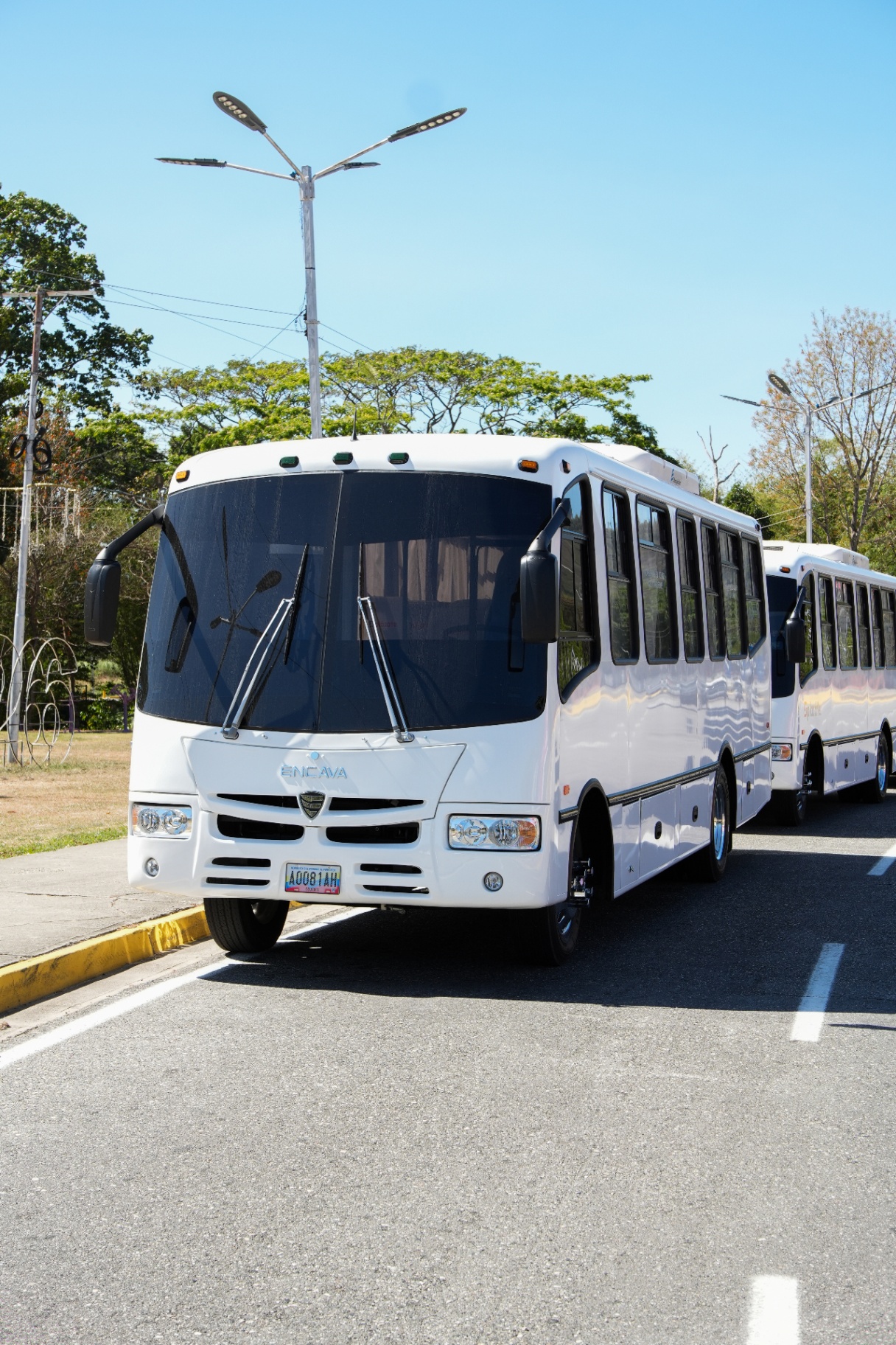 Bus C